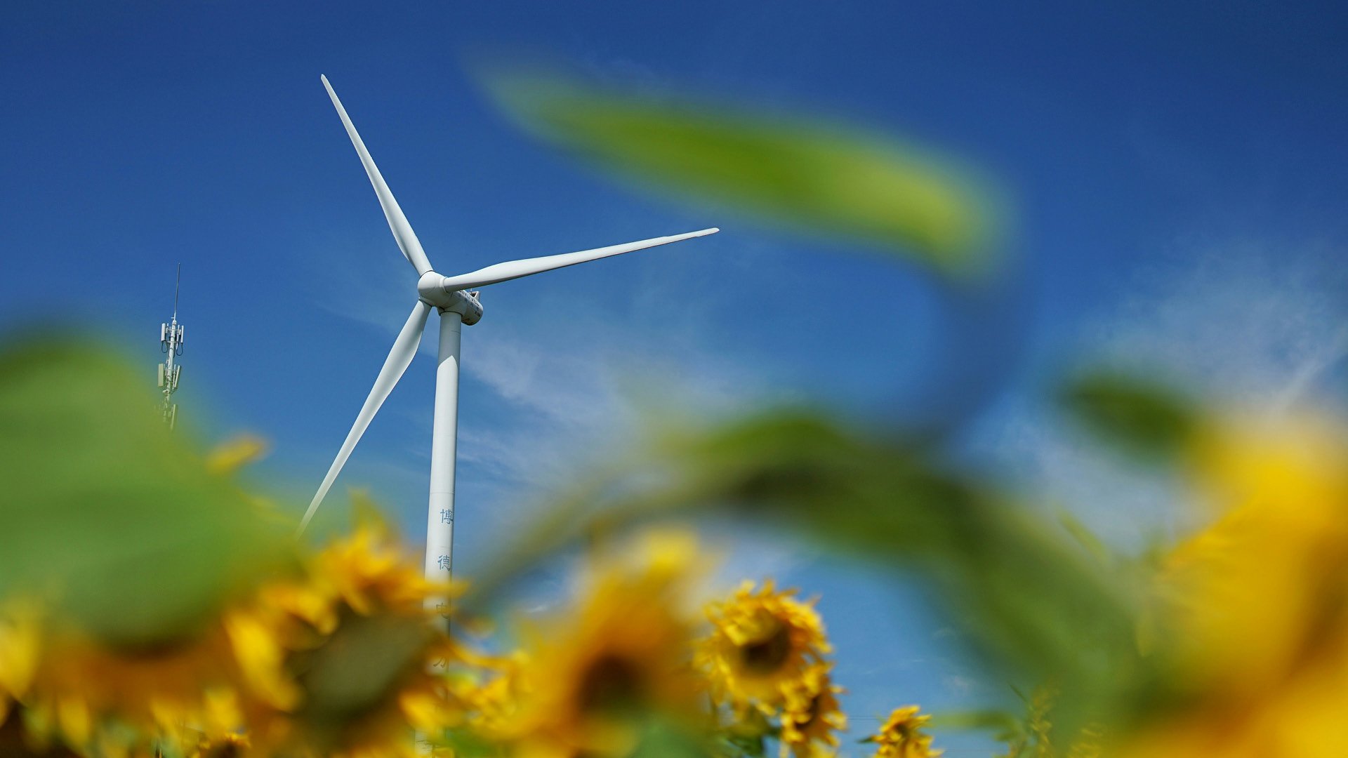 SR-26Web-Hero9-IAM-WealthManagers